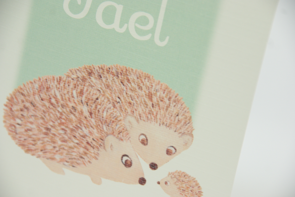 geboortekaartje jael lichtgroen